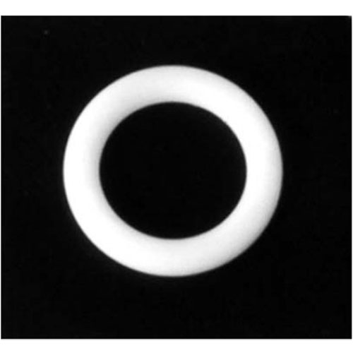 "O" Ring (Oil Passage)