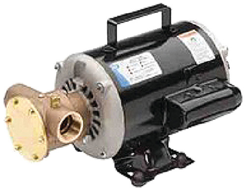 Utility Pump 115/230 Volt