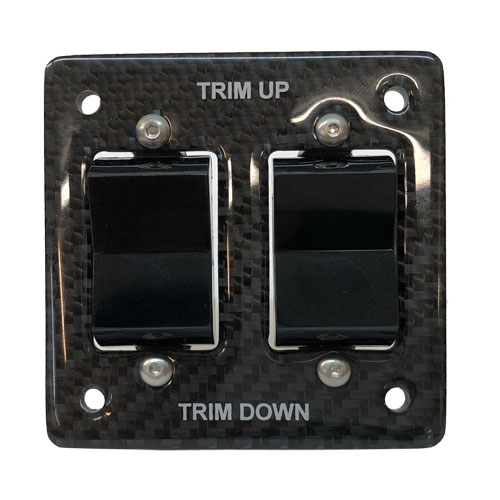 Dual Carbon Fiber Trim Switch Panel