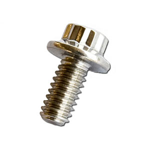 Screw (1/4-20 x 1/2" 12pt. S/S)