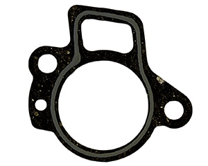 Thermostat Gasket