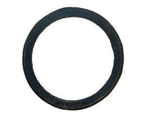 Thermostat Seal