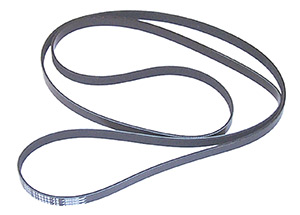 Serpentine Belt