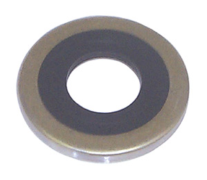 Oil Seal