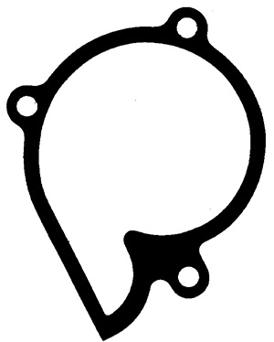 Circulation Pump Gasket