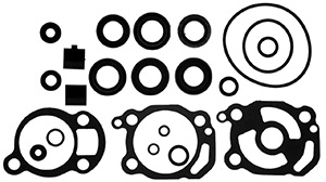 Lower Unit Seal Kit