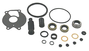 Lower Unit Seal Kit