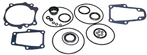 Lower Unit Seal Kit