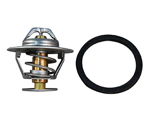 Thermostat Kit