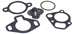 Thermostat Kit