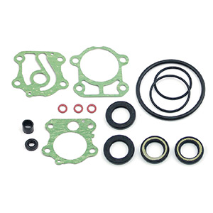 Seal Kit, Gear Housing