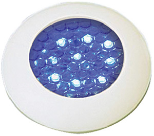 Led Courtesy Light