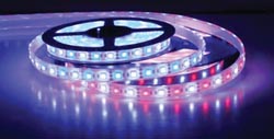 Led Dual Color Flex Strip, Blue/White