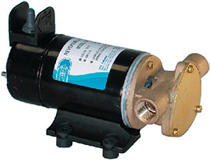 Reversible Rotary Vane Pump