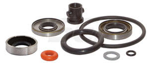 Gearcase Seal Kit Replaces OE#  396350
