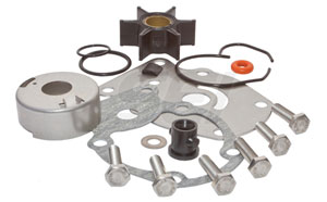 Water Pump Repair Kit (2 Cylinder)