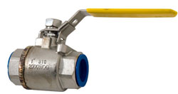 1" NPT Stainless Steel Water Shut-Off Valve