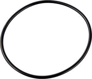 Replacement Bottom O-Ring for Hardin Sand Strainer
