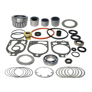 Seal & Bearing Kit 31-803031T1