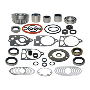 Seal & Bearing Kit 31-803493T1