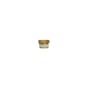 Brass Plug 1/2"