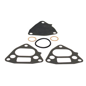 Fuel Pump Diaphragm Kit 55278A5