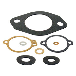 Diaphragm & Gasket Kit 1395-4808-1