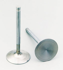 Stainless Steel Intake Valves