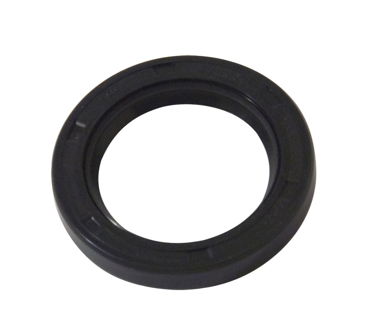 Bearing Housing Lip Seals