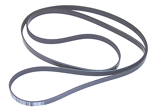 Serpentine Belt