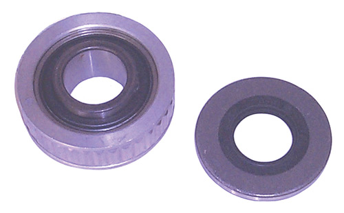 Seal & Bearing Kit