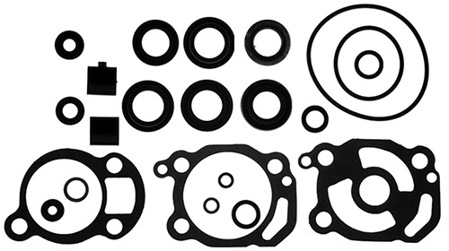 Lower Unit Seal Kit