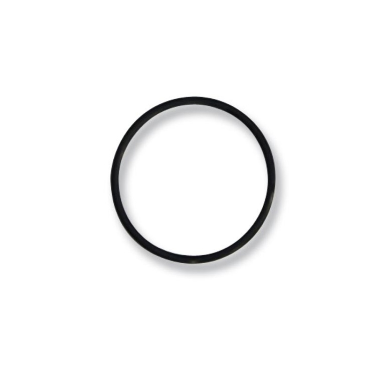 O Ring (Lower Shaft Seal)
