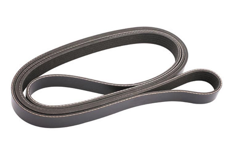 BELT,4RIB POLY V Mercruiser 57-8M0031641
