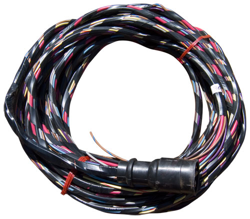 Universal Mercury Plug Harness 20 FT