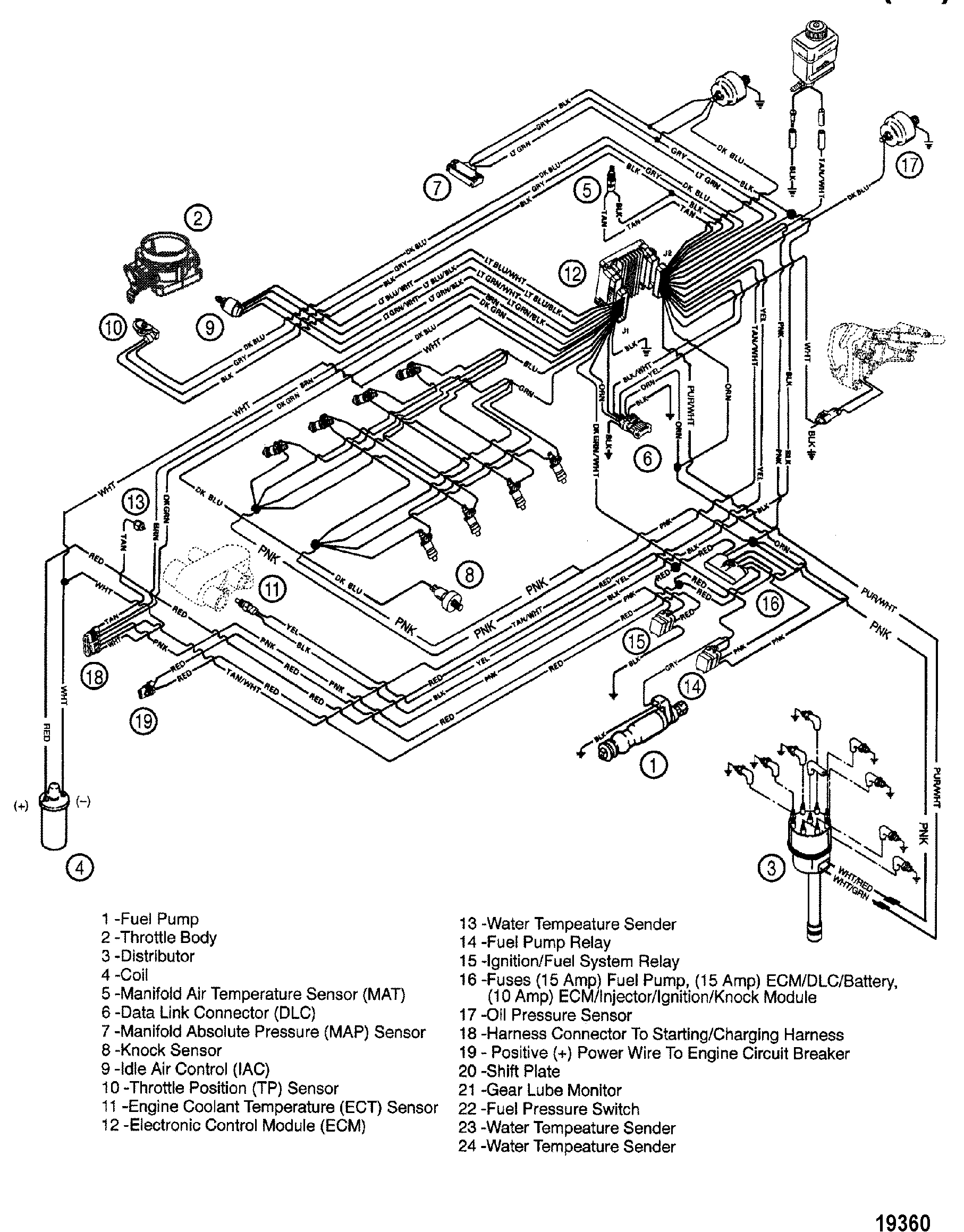 Hardin Marine - Wiring Harness (EFI)