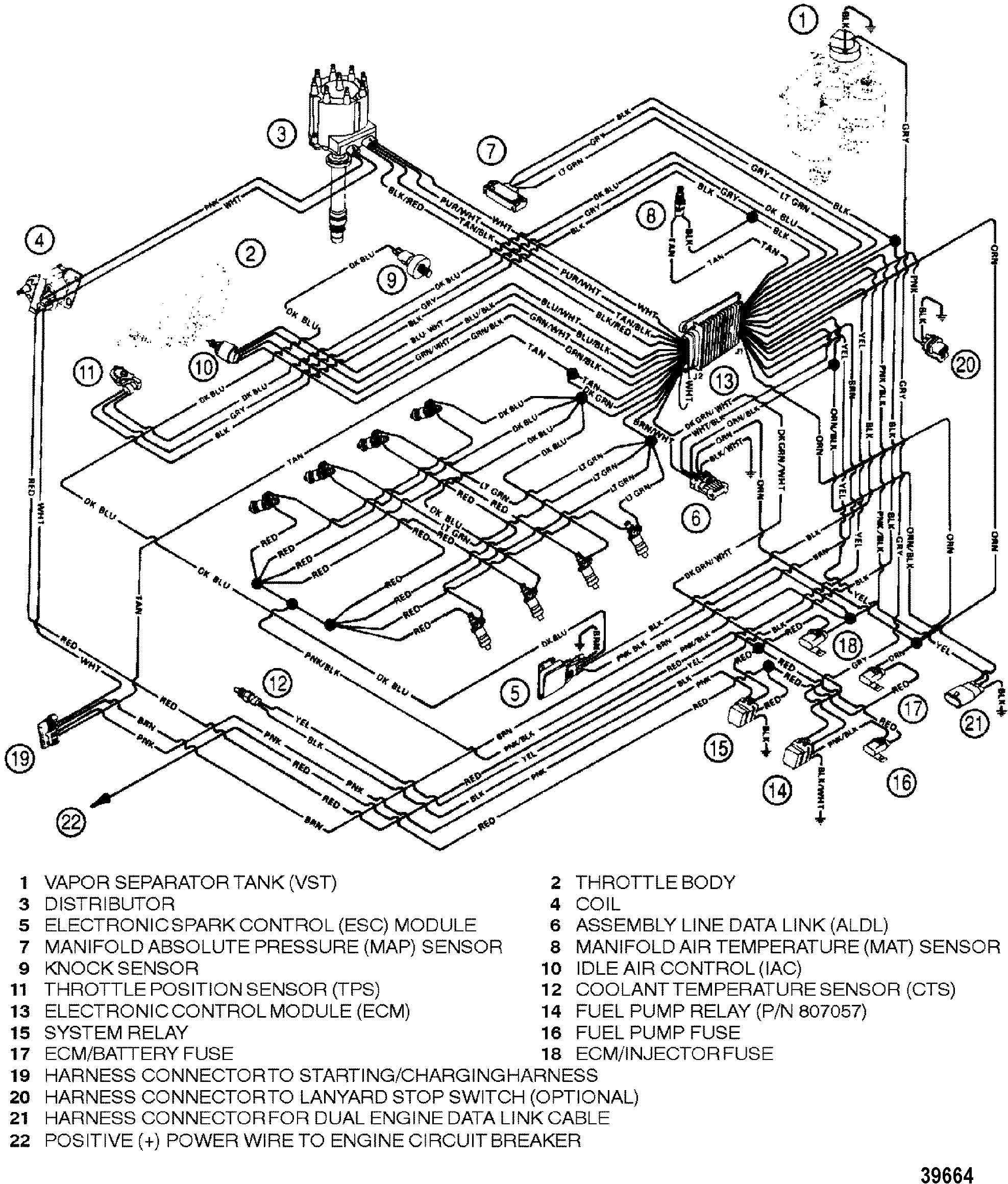 Hardin Marine - Wiring Harness (EFI)